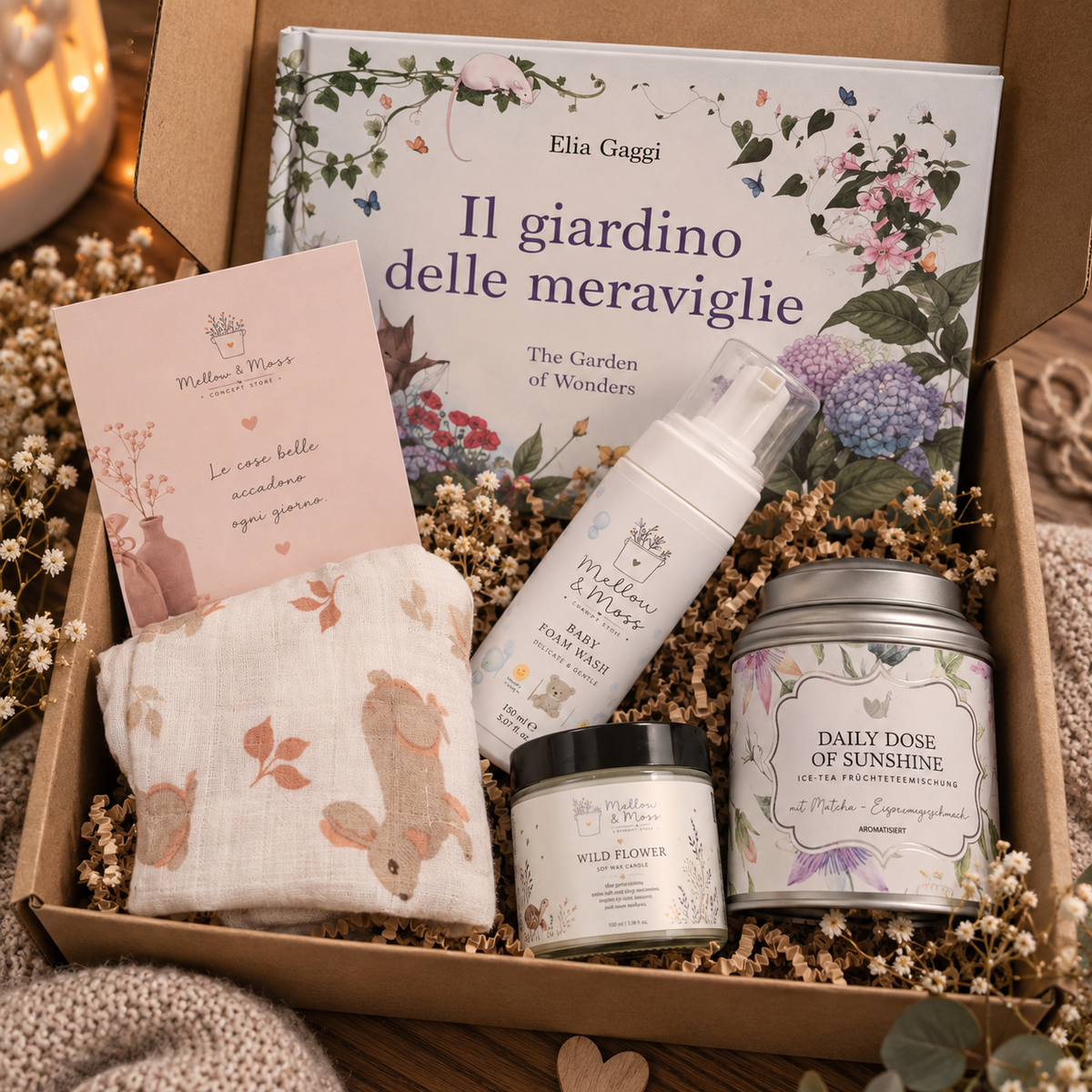 Story Box | Il Giardino delle Meraviglie