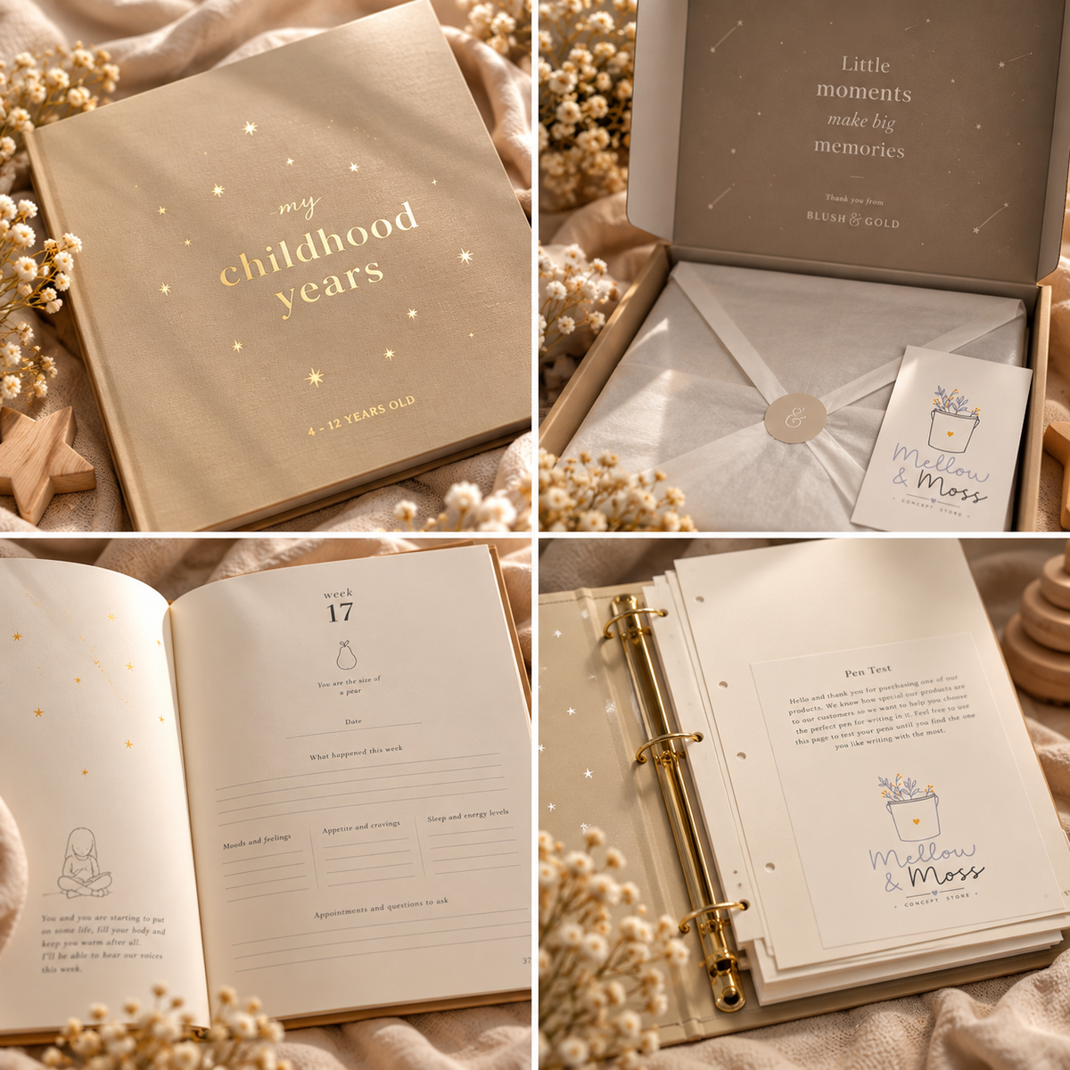 Story Box | The Horse, the Stars, and the Road